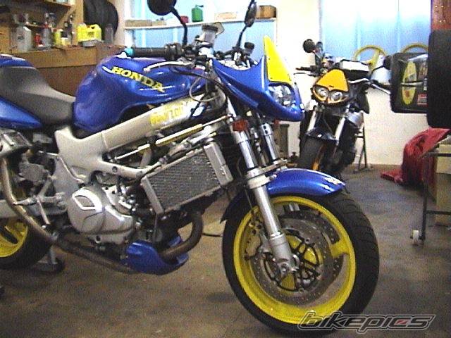 1998 HONDA VTR 1000 | Picture 16708 motorcycle photo