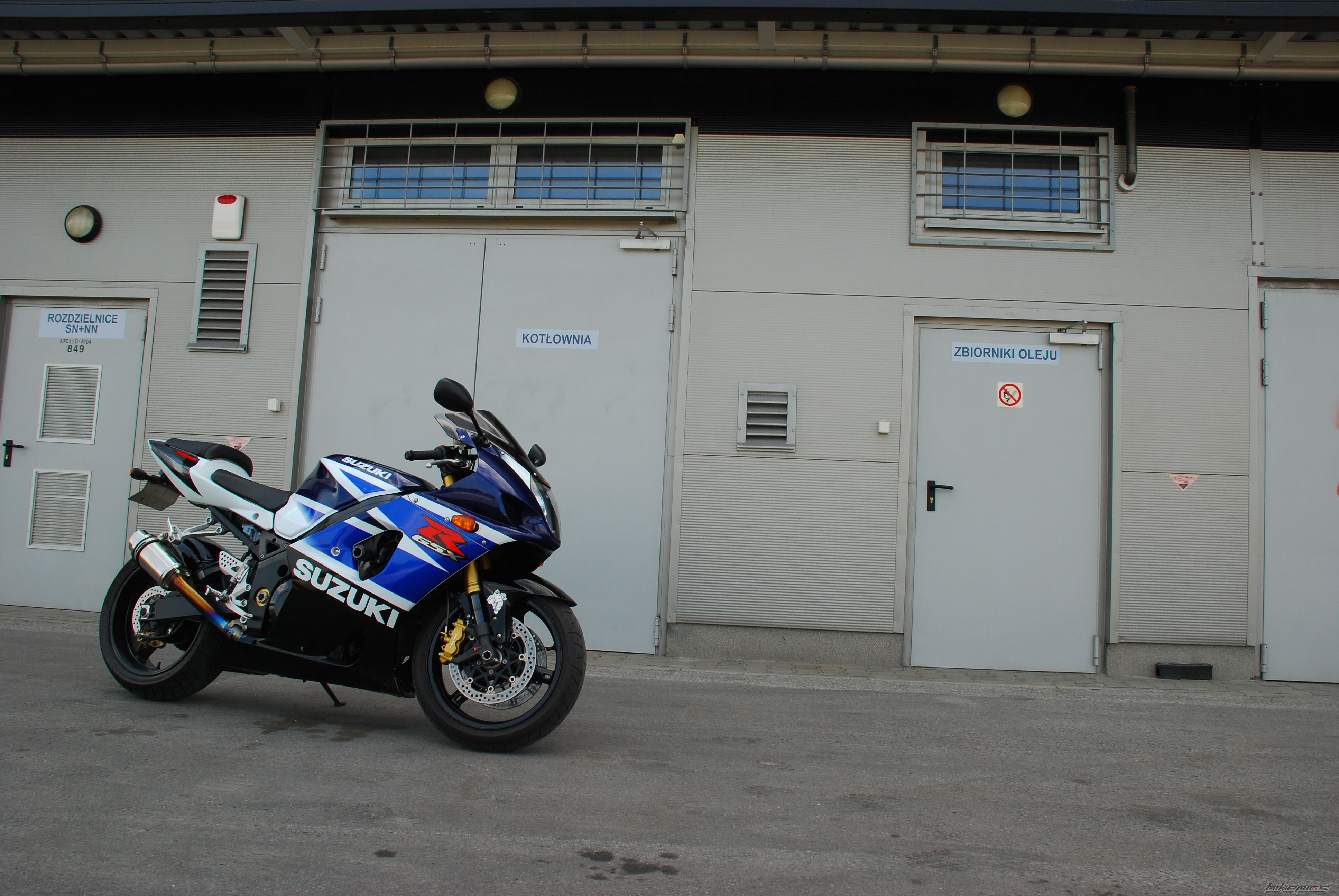 2004 SUZUKI GSX R 1000 | Picture 1671301 motorcycle photo
