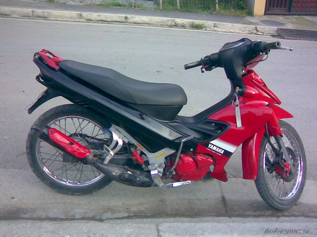 2009 YAMAHA Z 125 | Picture 1671448 motorcycle photo