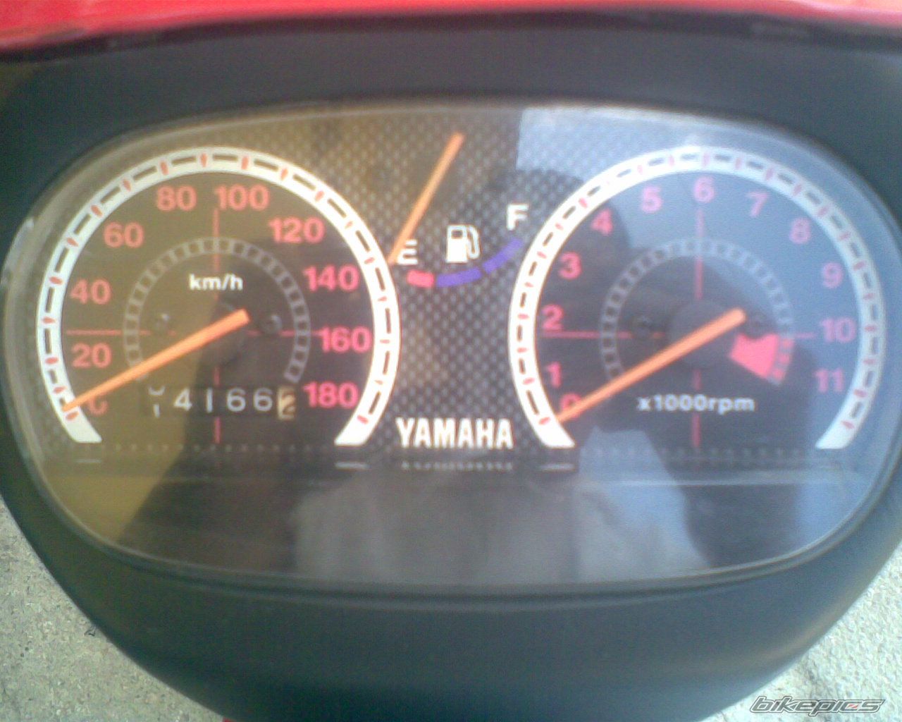 2009 YAMAHA Z 125 | Picture 1671497 motorcycle photo