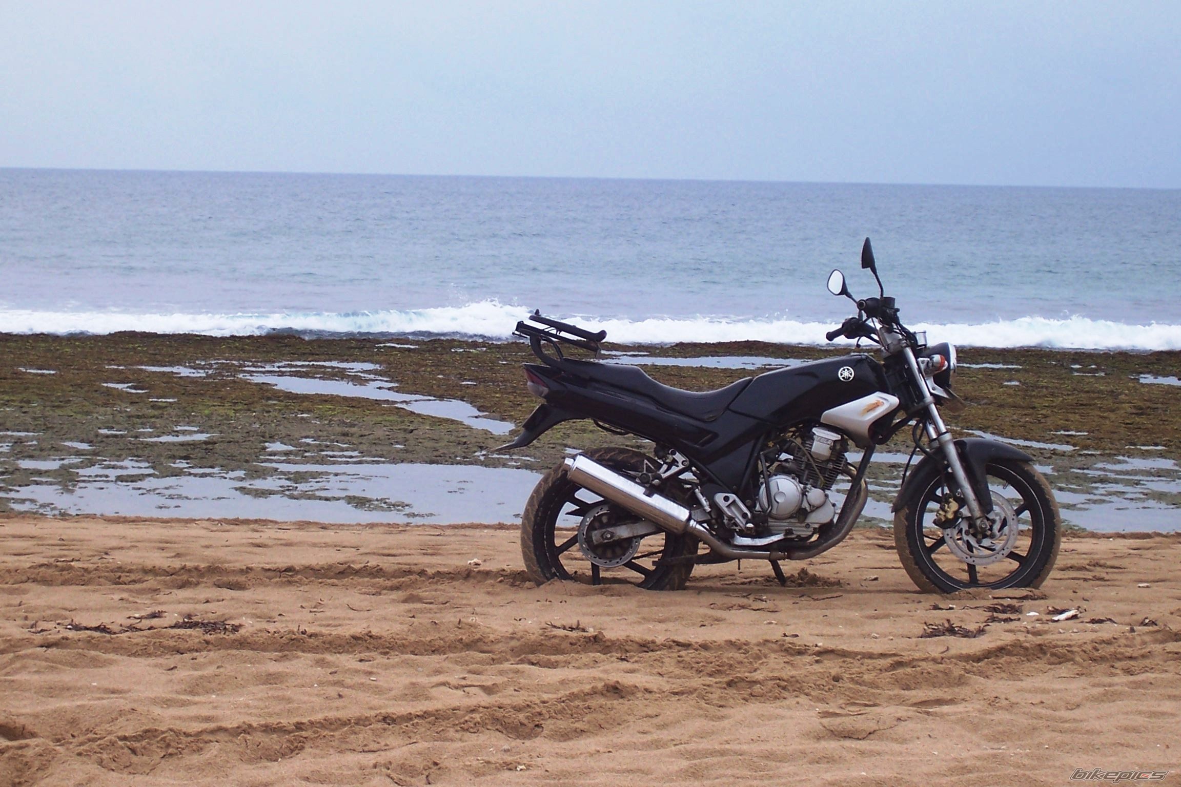 2002 YAMAHA SCORPIO 225 | Picture 1672115 motorcycle photo