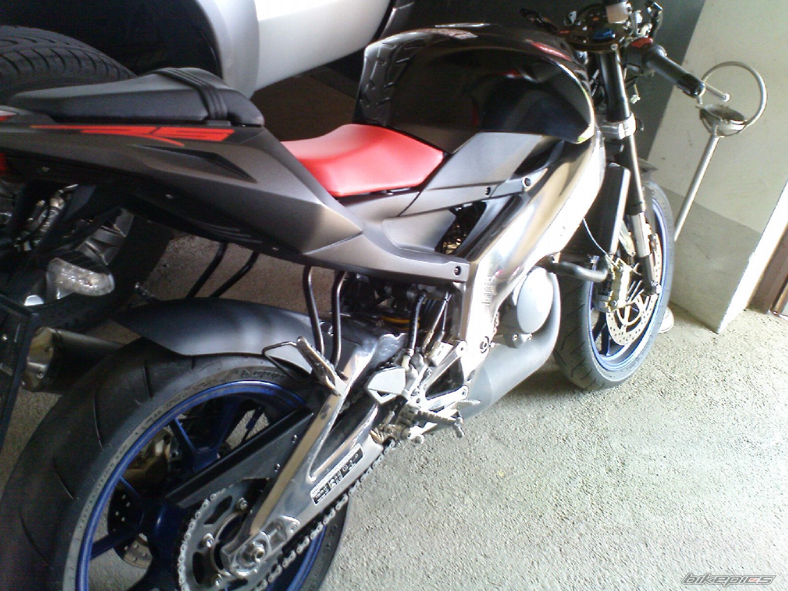 2009 APRILIA RS 125 | Picture 1672323 motorcycle photo