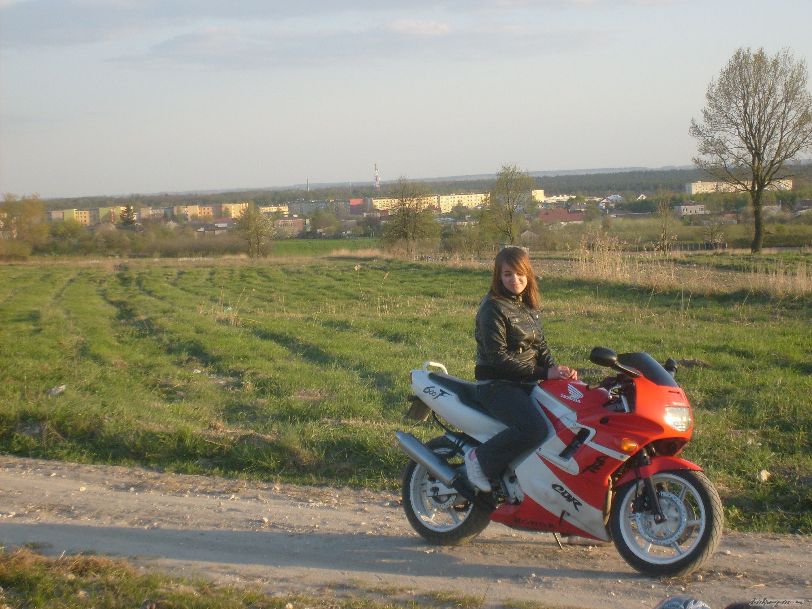1993 HONDA CBR 600 | Picture 1672566 motorcycle photo
