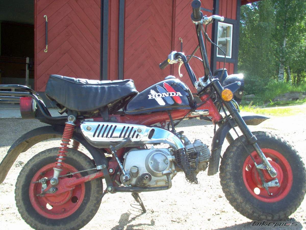 1997 HONDA Z 50 | Picture 1672792 motorcycle photo