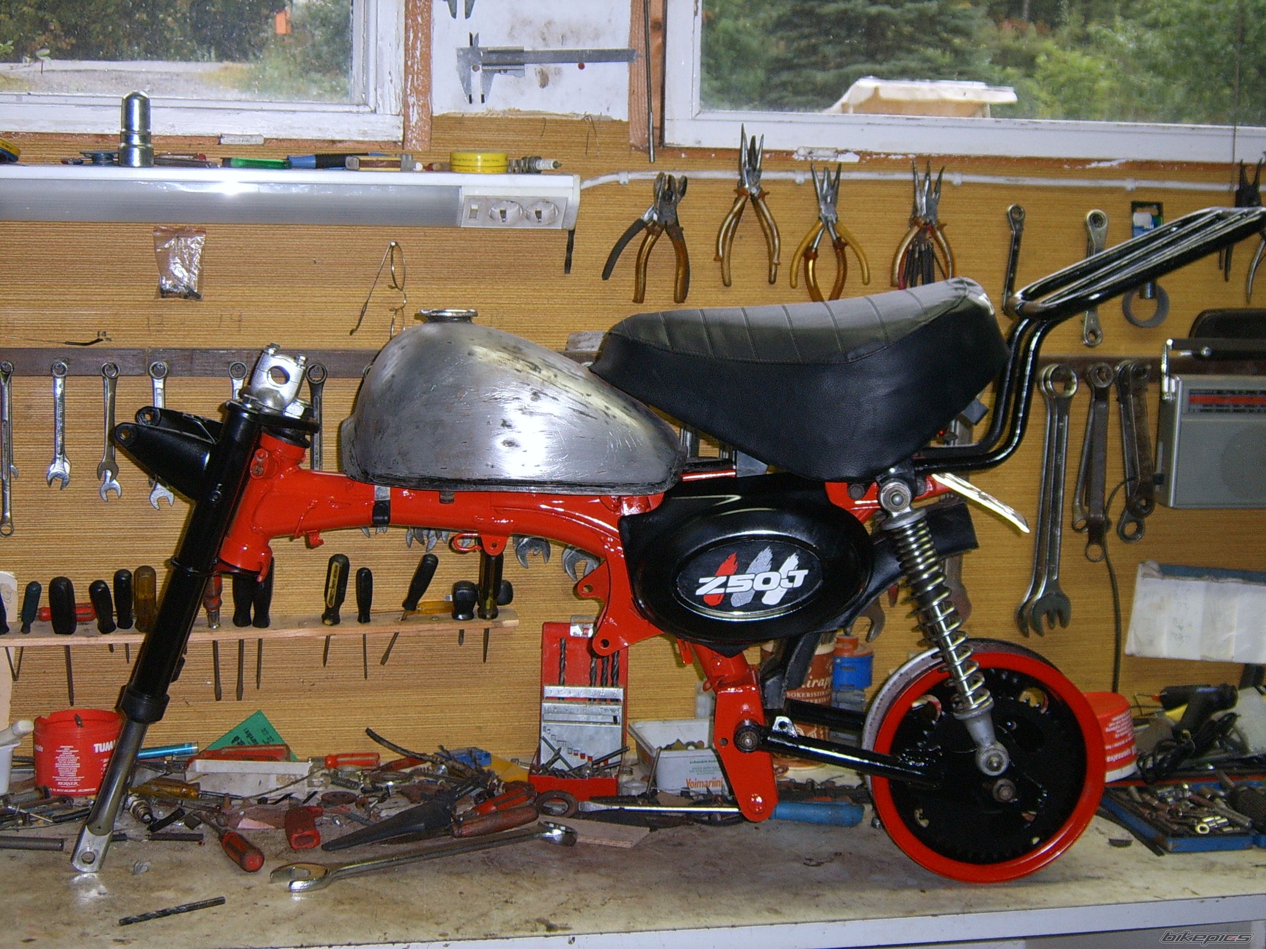 1997 HONDA Z 50 | Picture 1672817 motorcycle photo