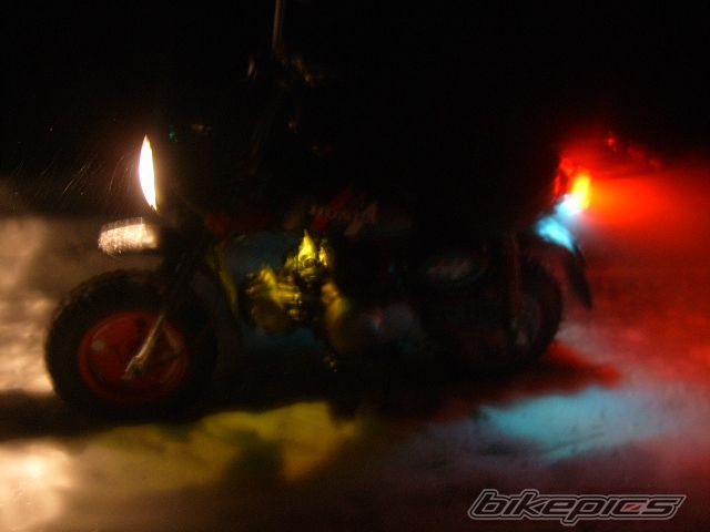 1997 HONDA Z 50 | Picture 1672824 motorcycle photo