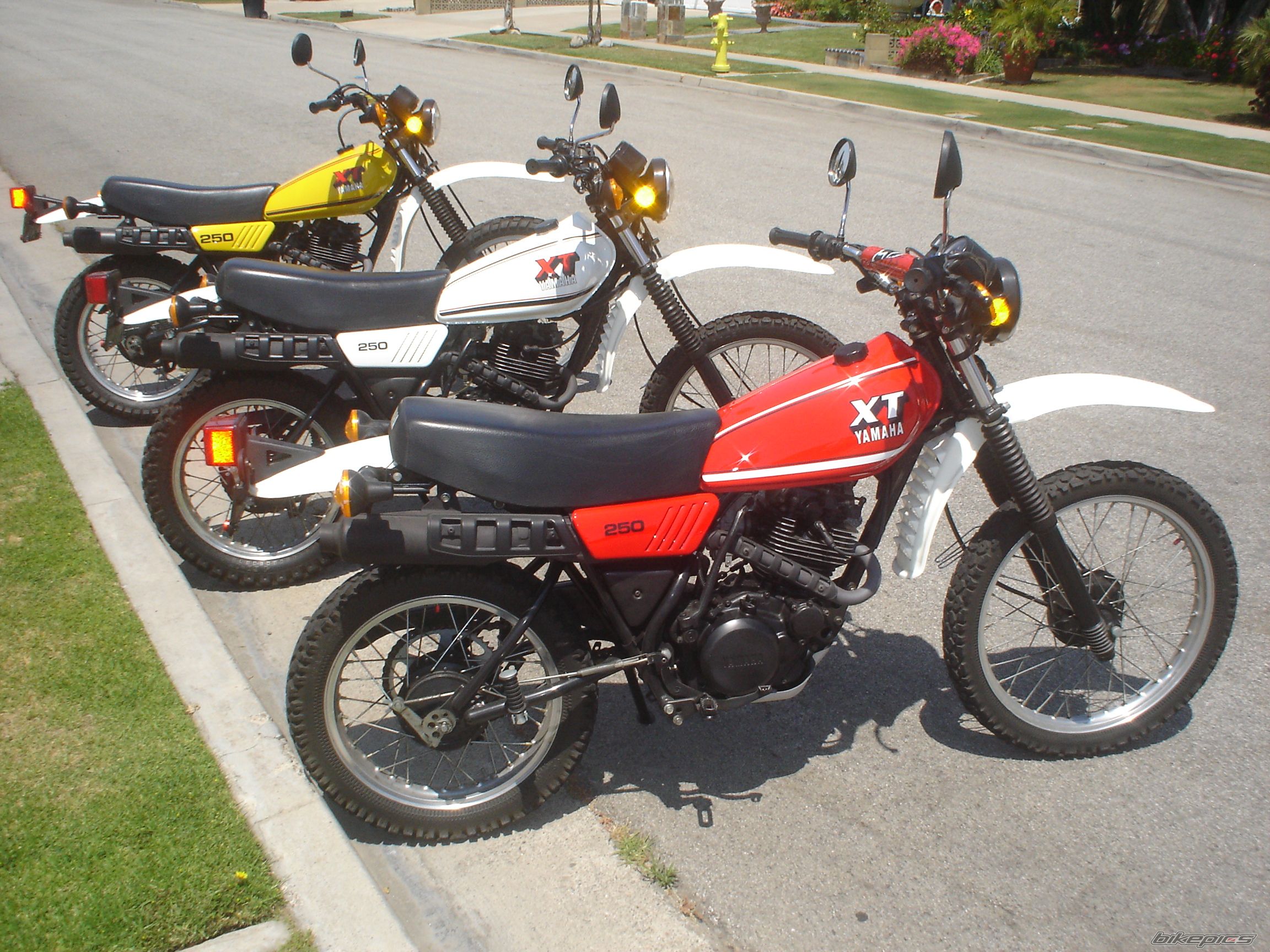 1980 YAMAHA XT 250 | Picture 1672920 motorcycle photo
