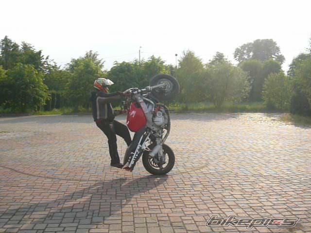 2000 HONDA CBR 600 | Picture 1673194 motorcycle photo