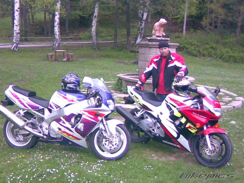 1998 HONDA HONDA CBR600F3 | Picture 1674072 motorcycle photo
