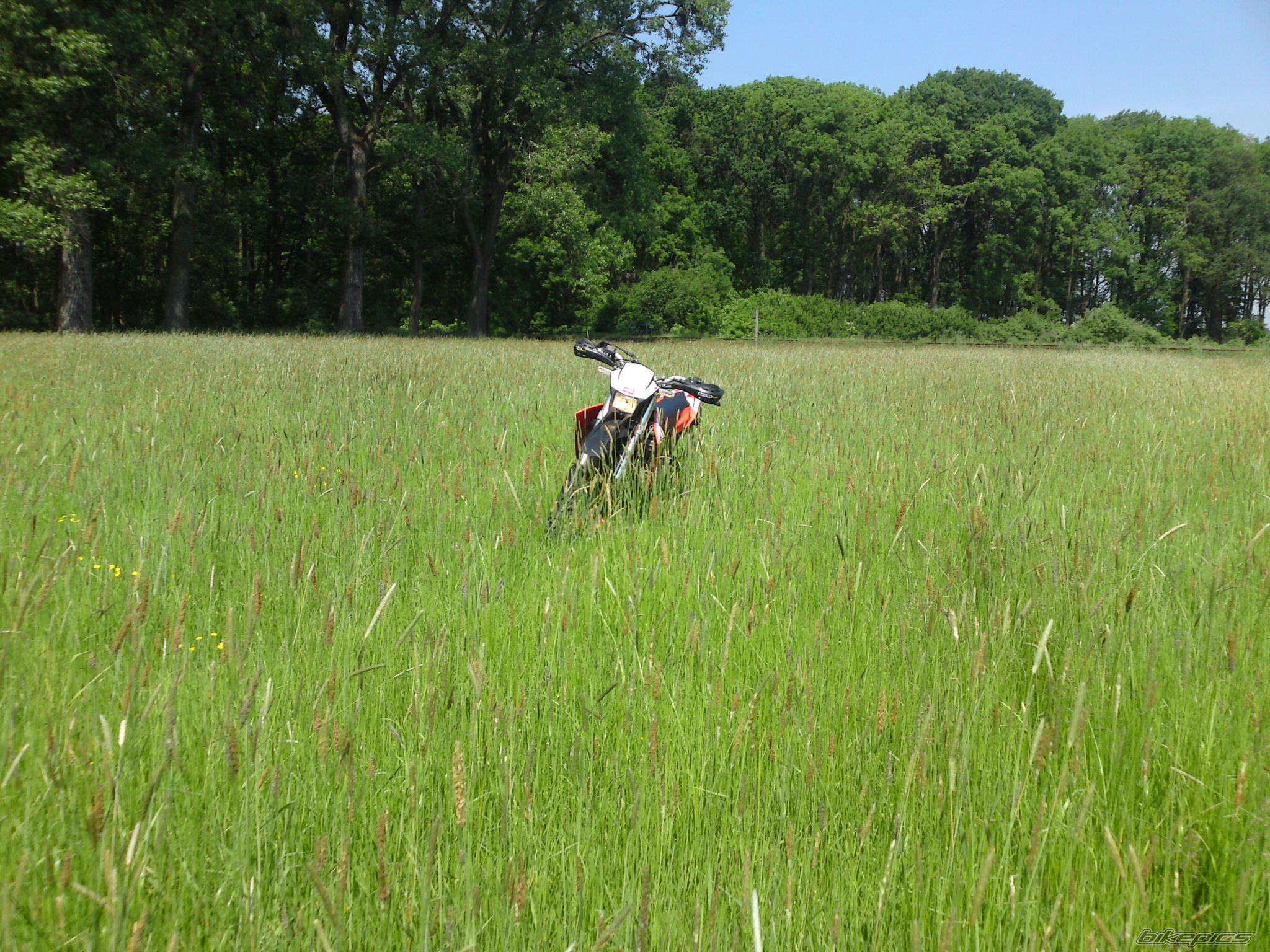 2007 APRILIA RXV 450 | Picture 1674144 motorcycle photo