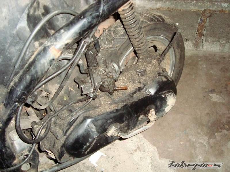 1997 PEUGEOT SV 50 | Picture 1674634 motorcycle photo