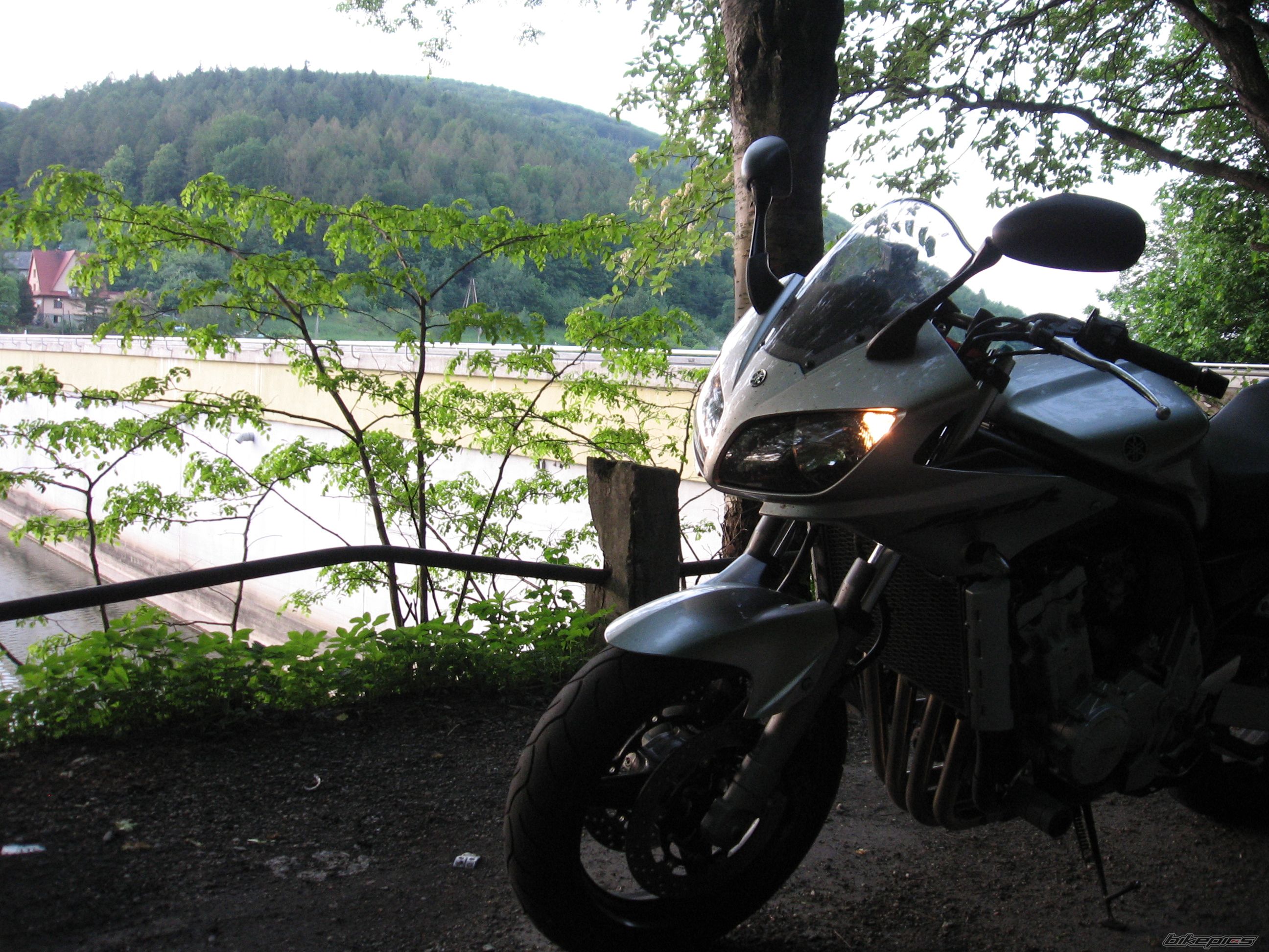 2003 YAMAHA FZS 1000 FAZER | Picture 1674657 motorcycle photo