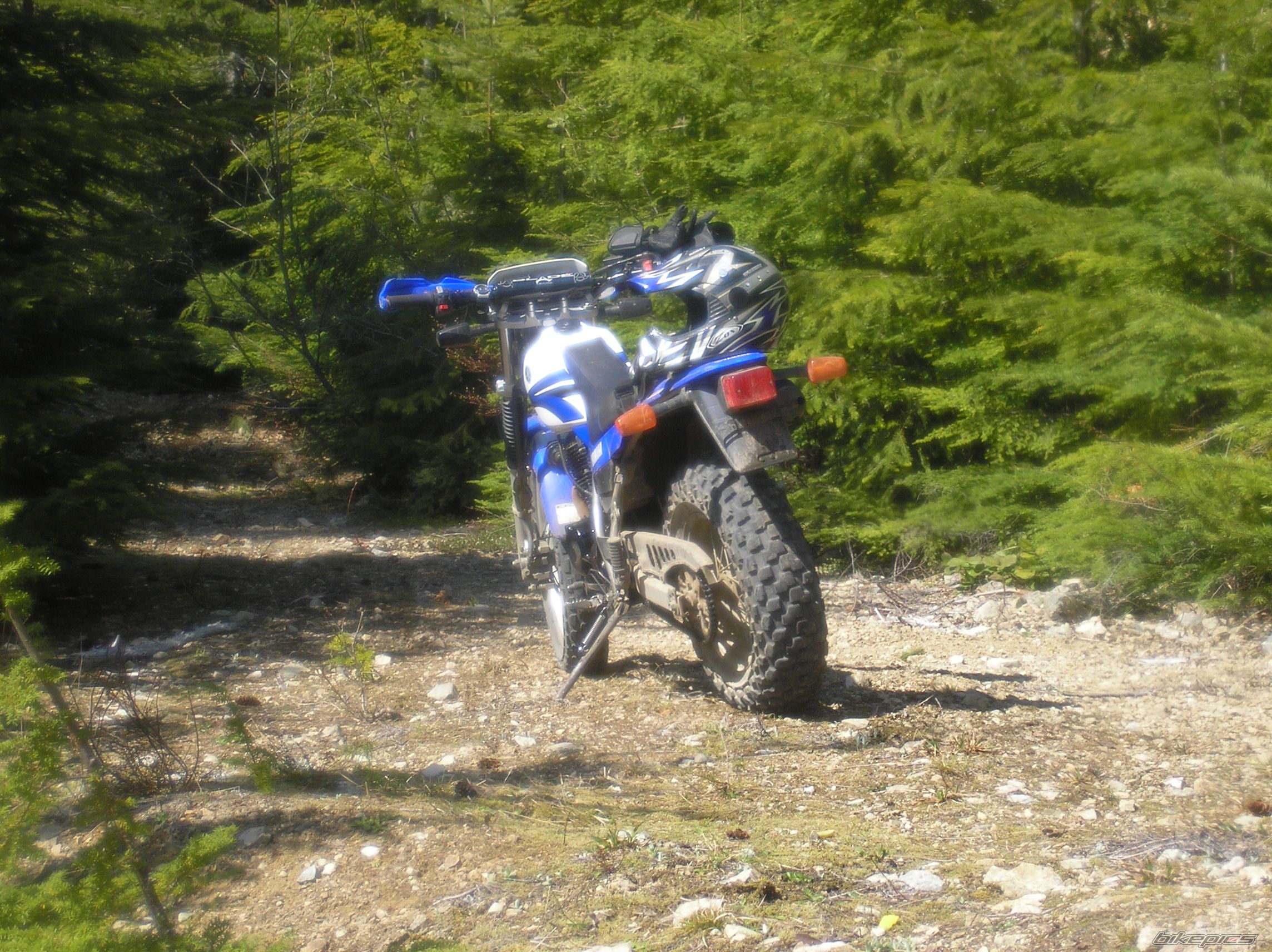 2007 YAMAHA TW 200 | Picture 1674761 motorcycle photo
