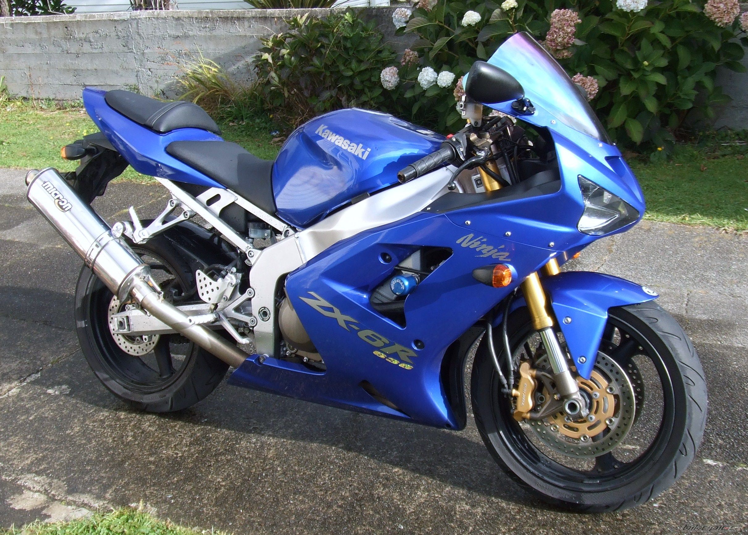    | Picture 1674908 motorcycle photo
