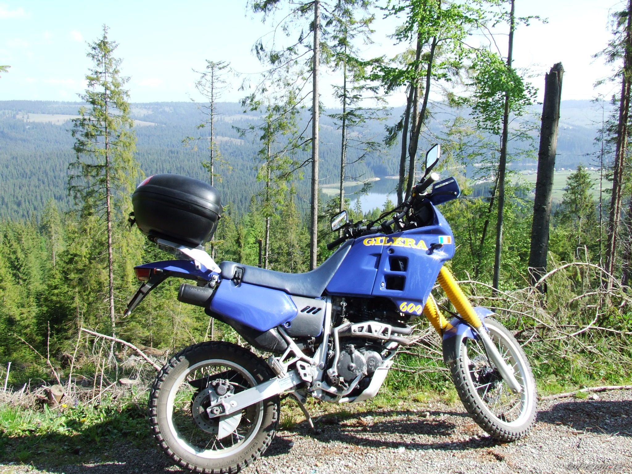 1991 GILERA RC 600R | Picture 1675148 motorcycle photo