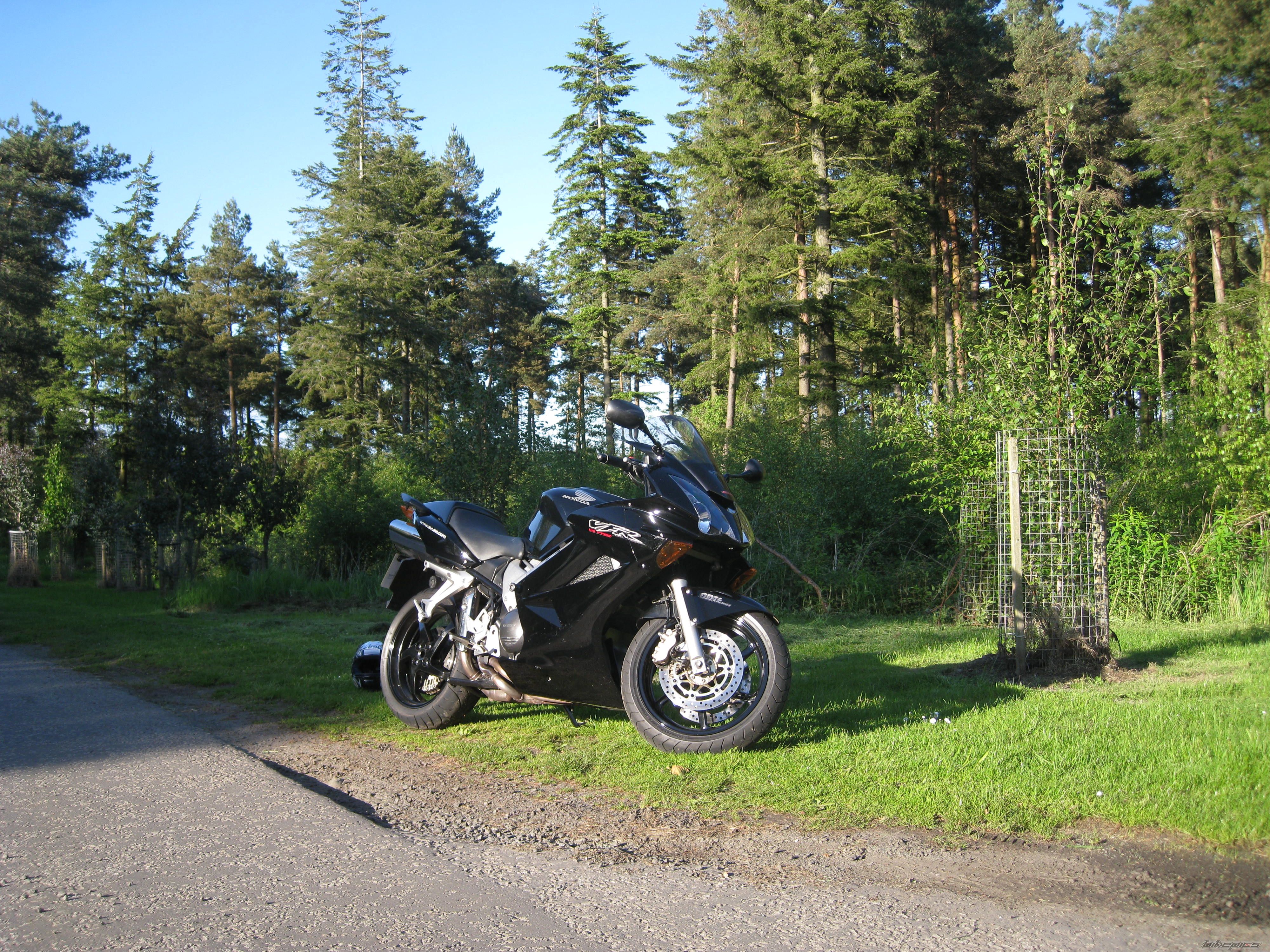2002 HONDA VFR 800 | Picture 1675509 motorcycle photo