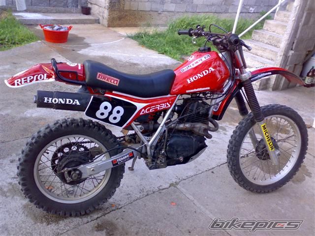 1981 HONDA XR 250 | Picture 1675544 motorcycle photo