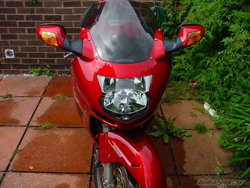 2004 HONDA CBR 1100 BLACKBIRD | Picture 167573 motorcycle photo