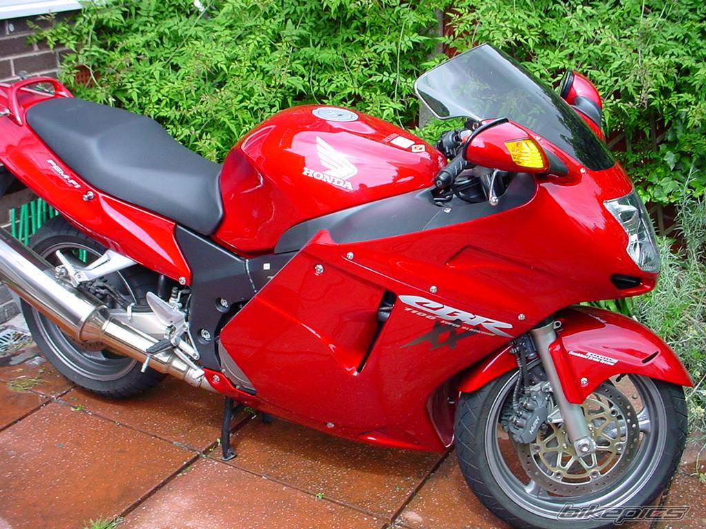 2004 HONDA CBR 1100 BLACKBIRD | Picture 167575 motorcycle photo