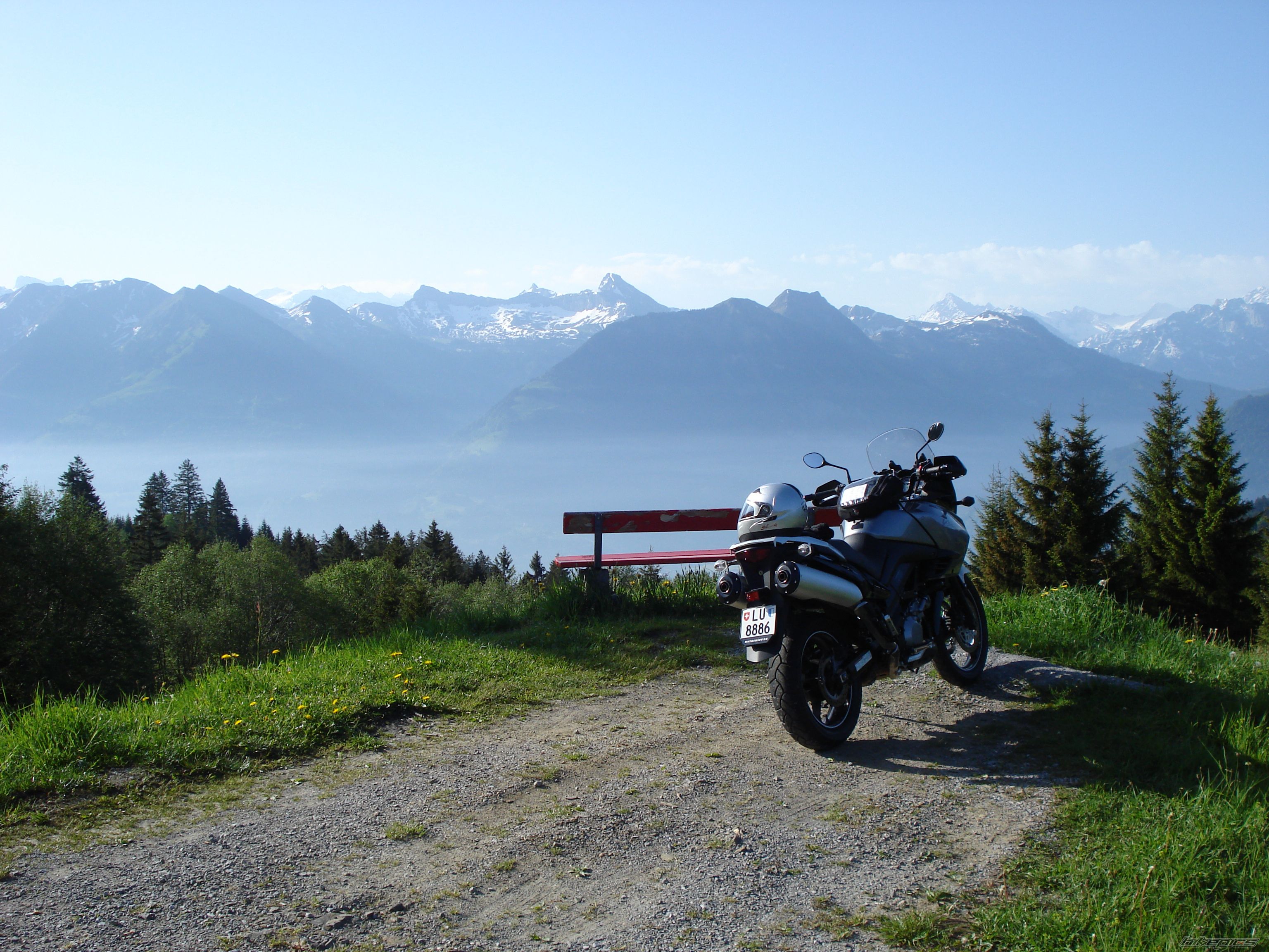 2006 SUZUKI DL 1000 | Picture 1676101 motorcycle photo