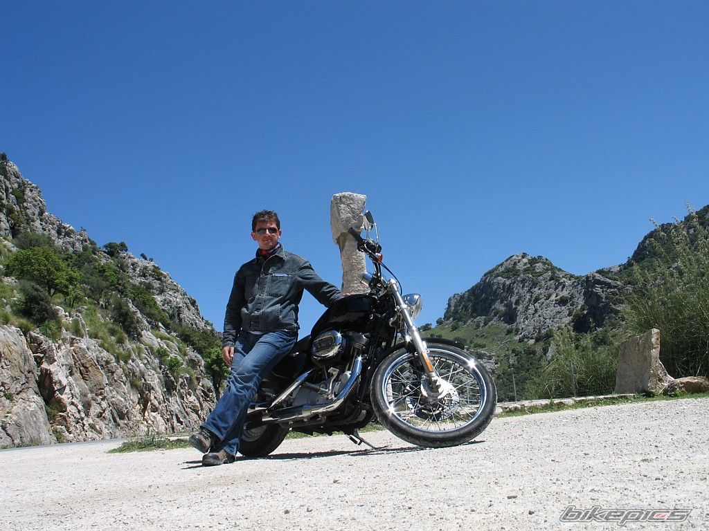 2005 HARLEY DAVIDSON XL 883C | Picture 1676119 motorcycle photo