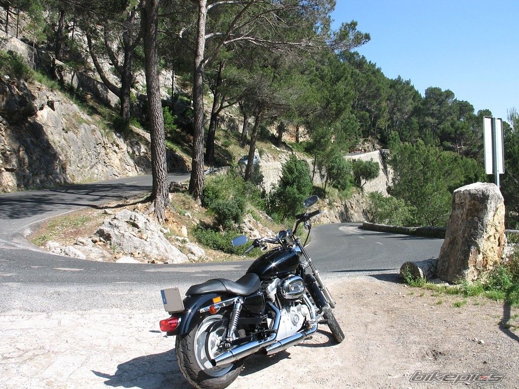 2005 HARLEY DAVIDSON XL 883C | Picture 1676130 motorcycle photo