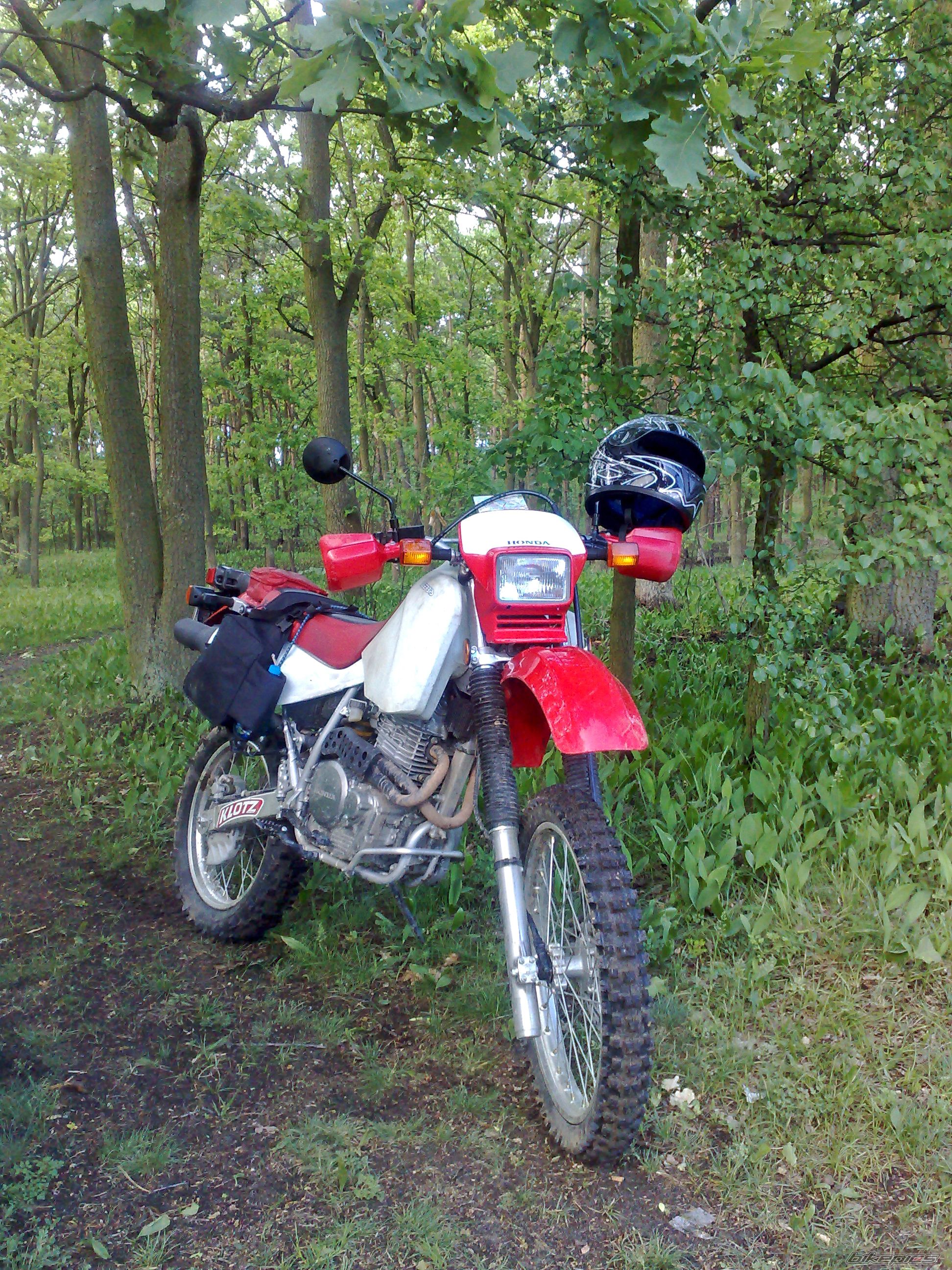 2006 HONDA XR 650 | Picture 1676397 motorcycle photo