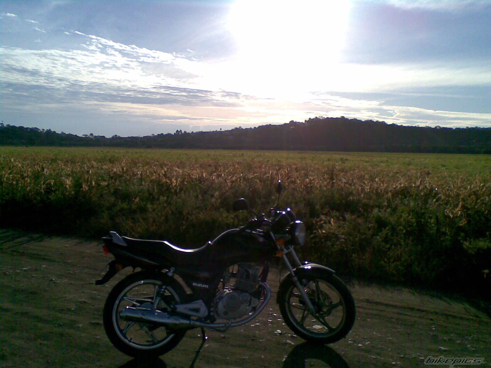 2009 SUZUKI EN 125 | Picture 1677601 motorcycle photo
