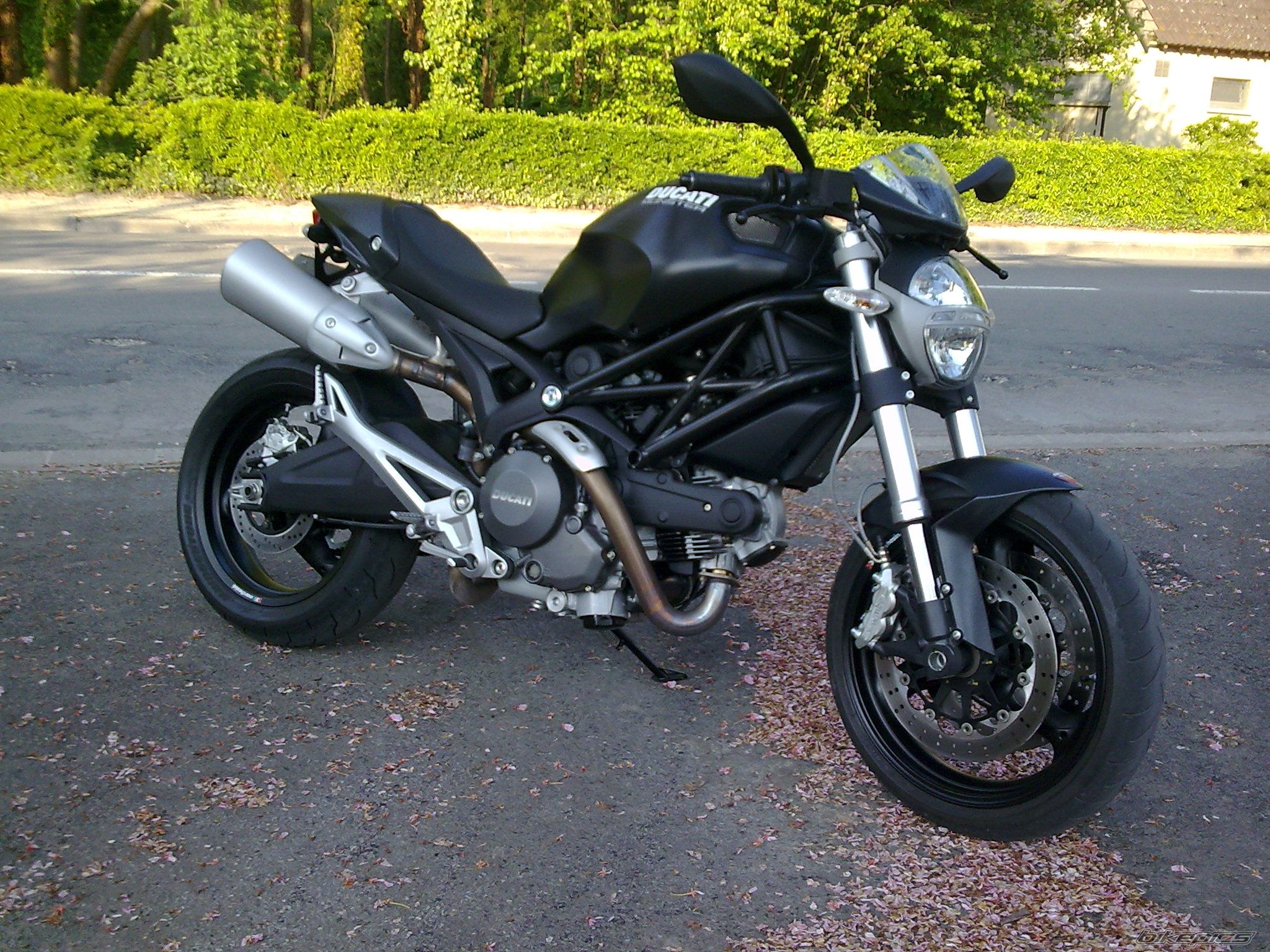2008 DUCATI MONSTER 696 | Picture 1677718 motorcycle photo