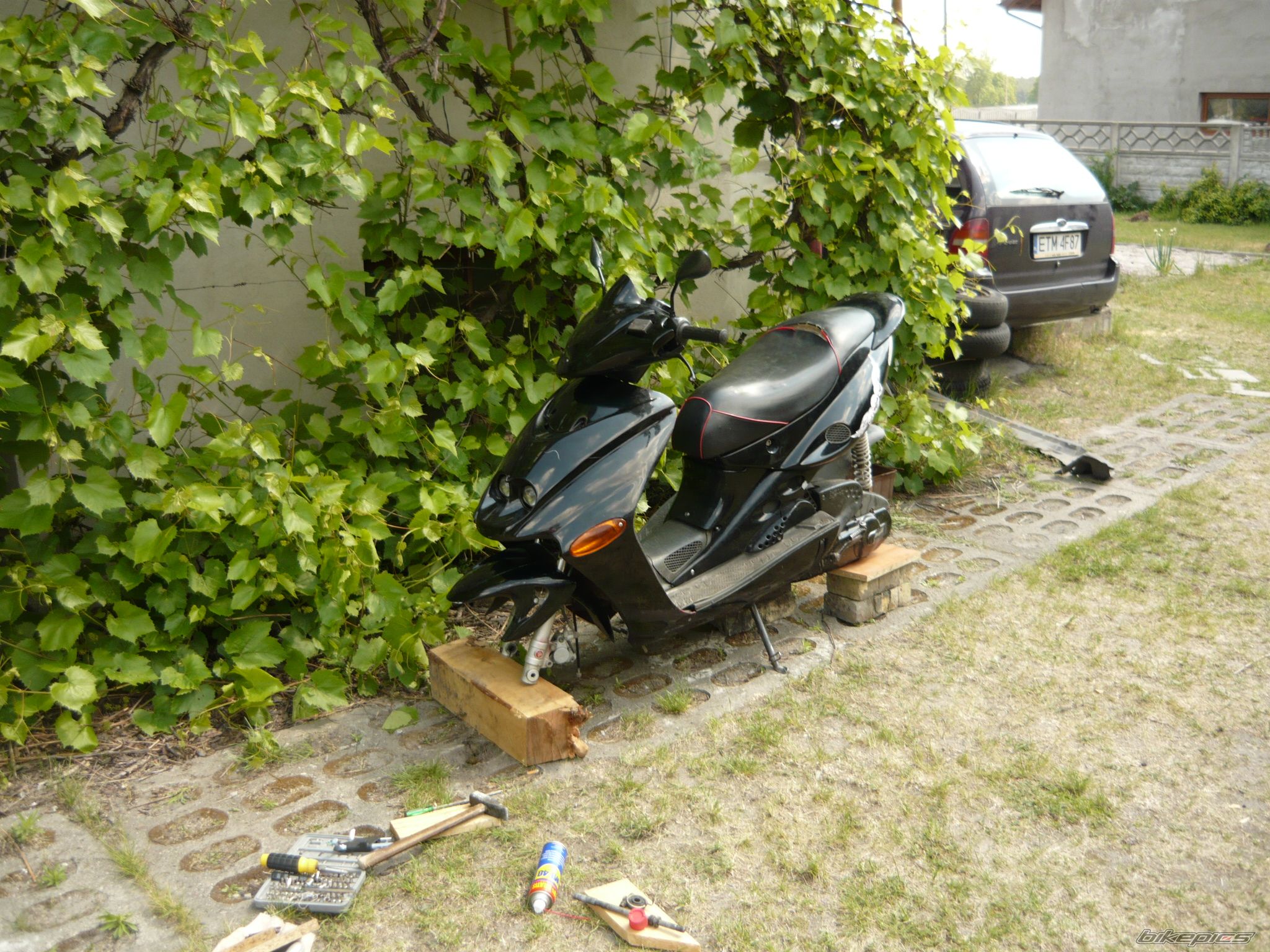 2001 MALAGUTI FIREFOX 50 F15 | Picture 1677822 motorcycle photo