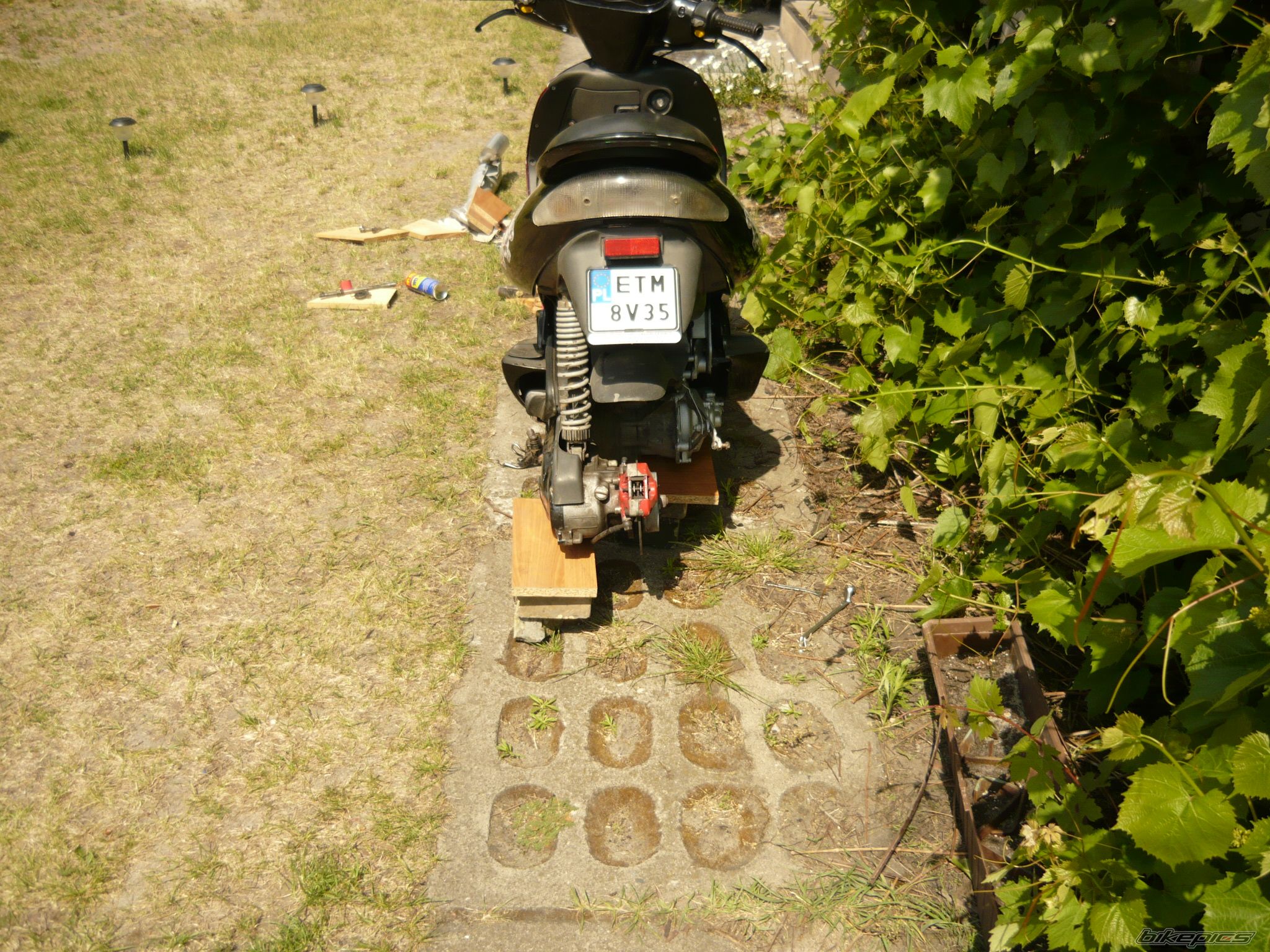 2001 MALAGUTI FIREFOX 50 F15 | Picture 1677828 motorcycle photo