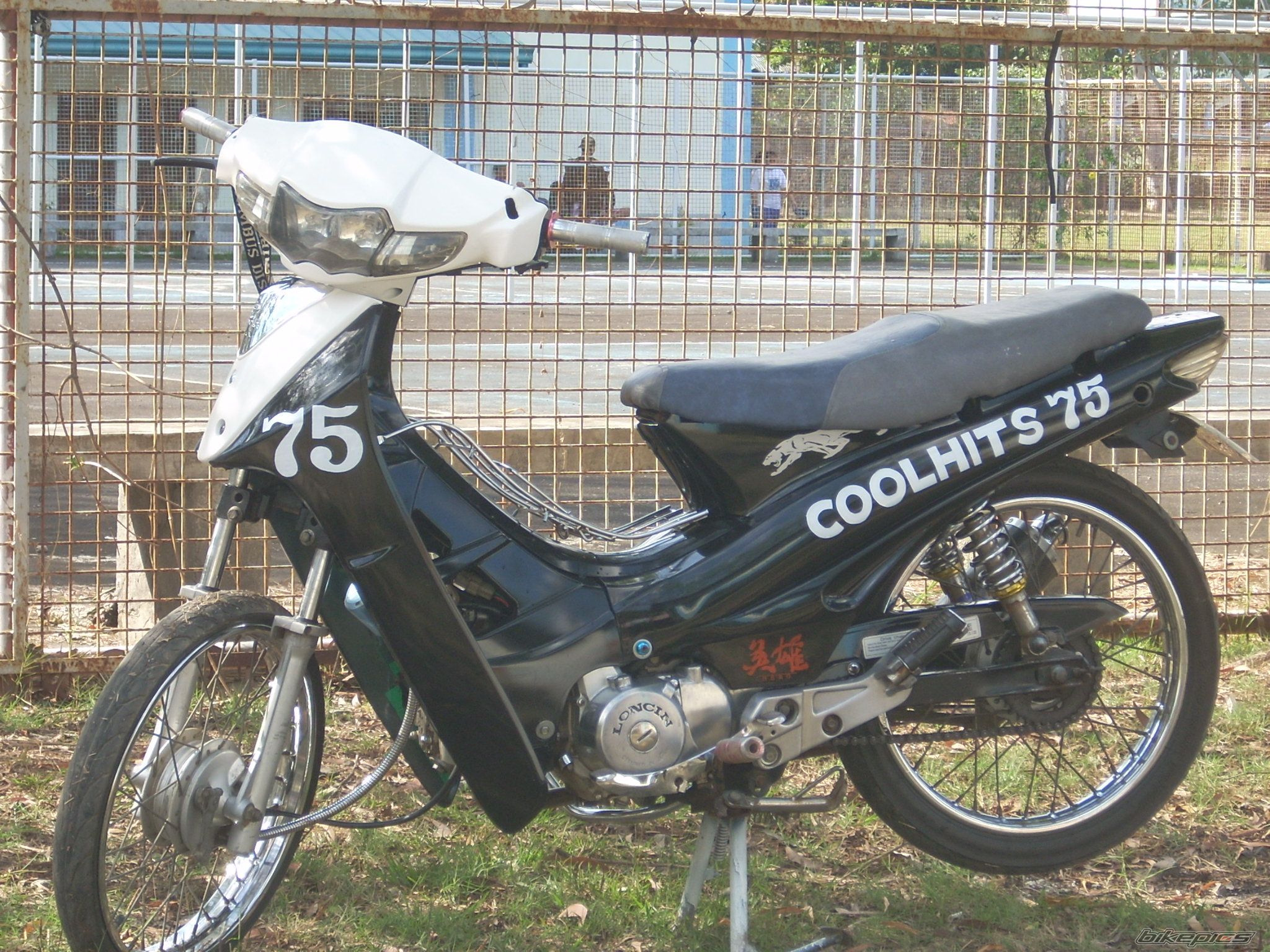 2006 HONDA HONDA C110 | Picture 1678044 motorcycle photo