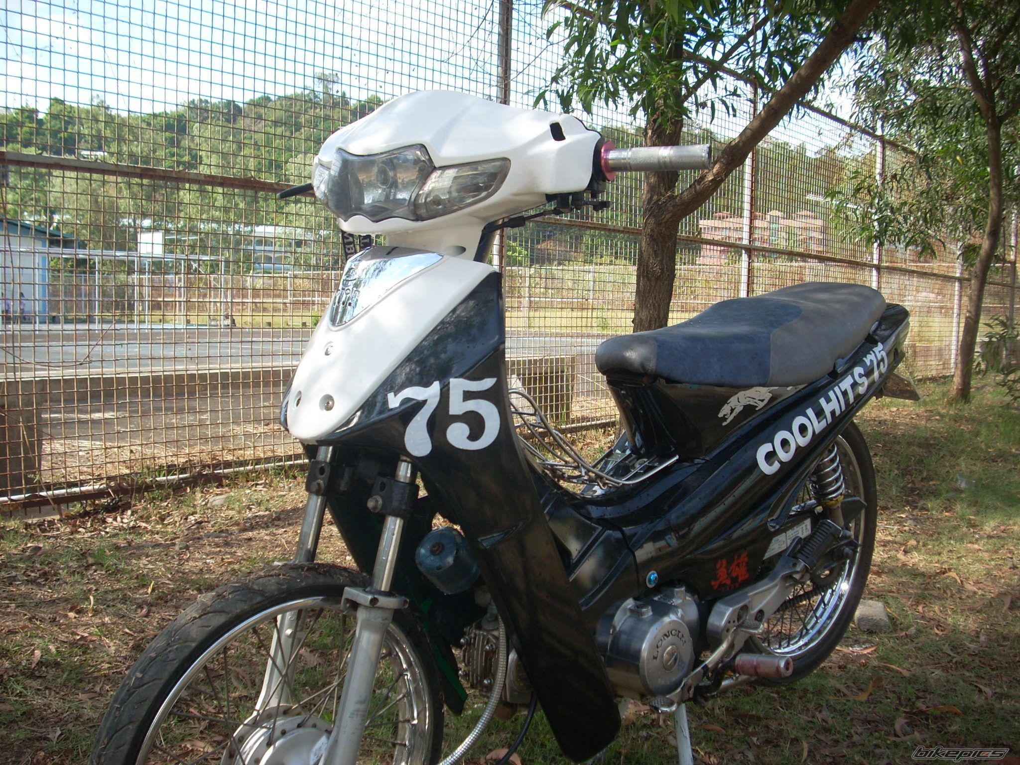 2006 HONDA HONDA C110 | Picture 1678051 motorcycle photo