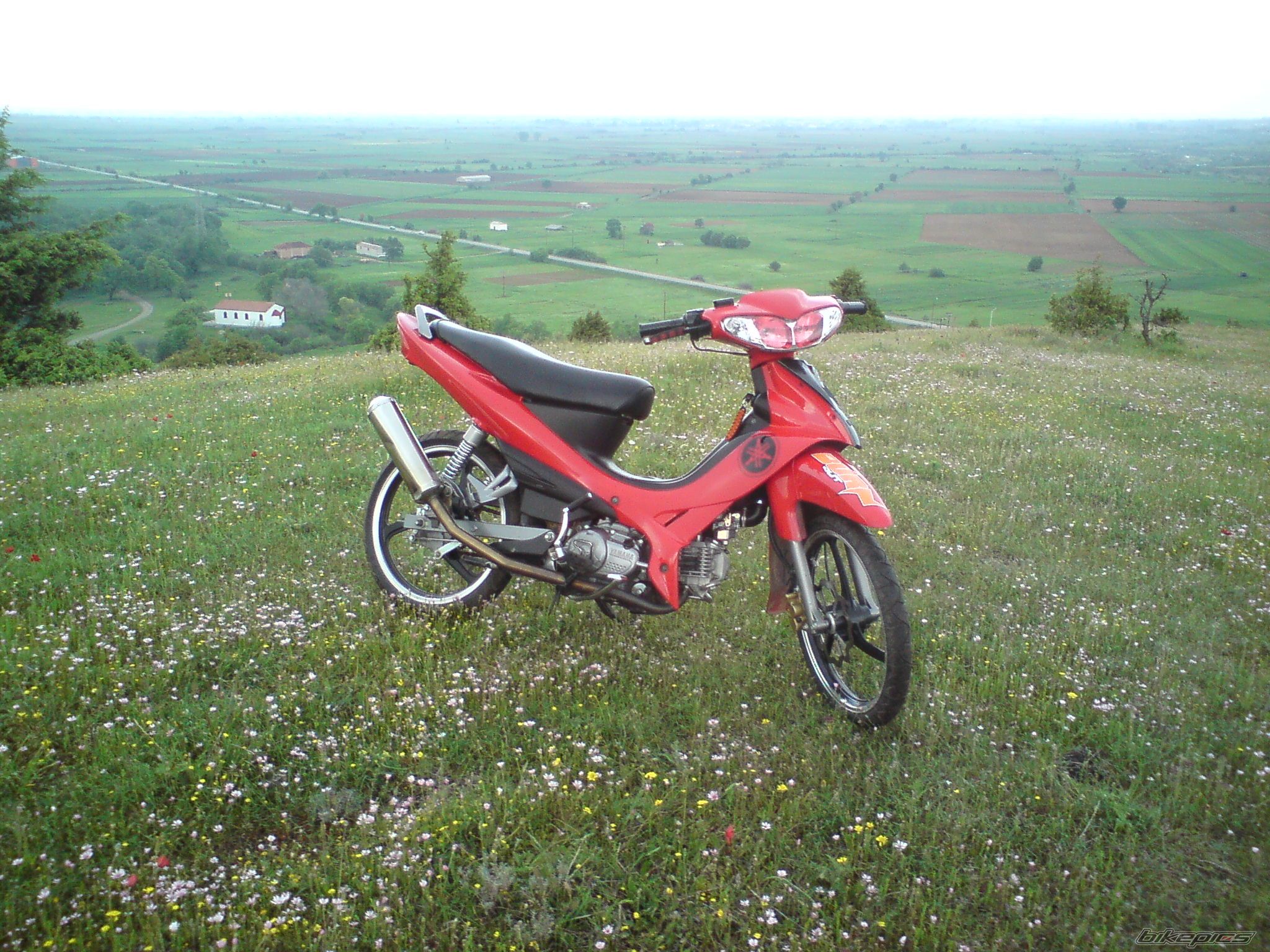 2010 YAMAHA CRYPTON R 115 | Picture 1678273 motorcycle photo