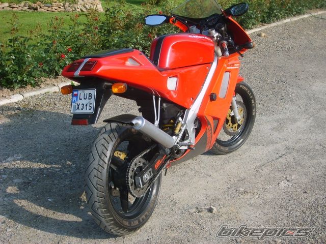 1995 CAGIVA PRIMA 50 | Picture 1678377 motorcycle photo