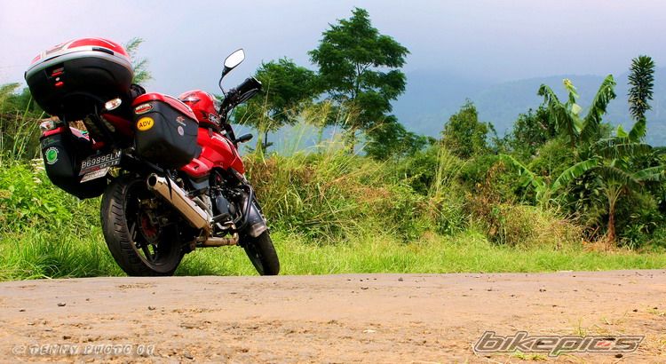 2008 BAJAJ PULSAR 200 | Picture 1678648 motorcycle photo