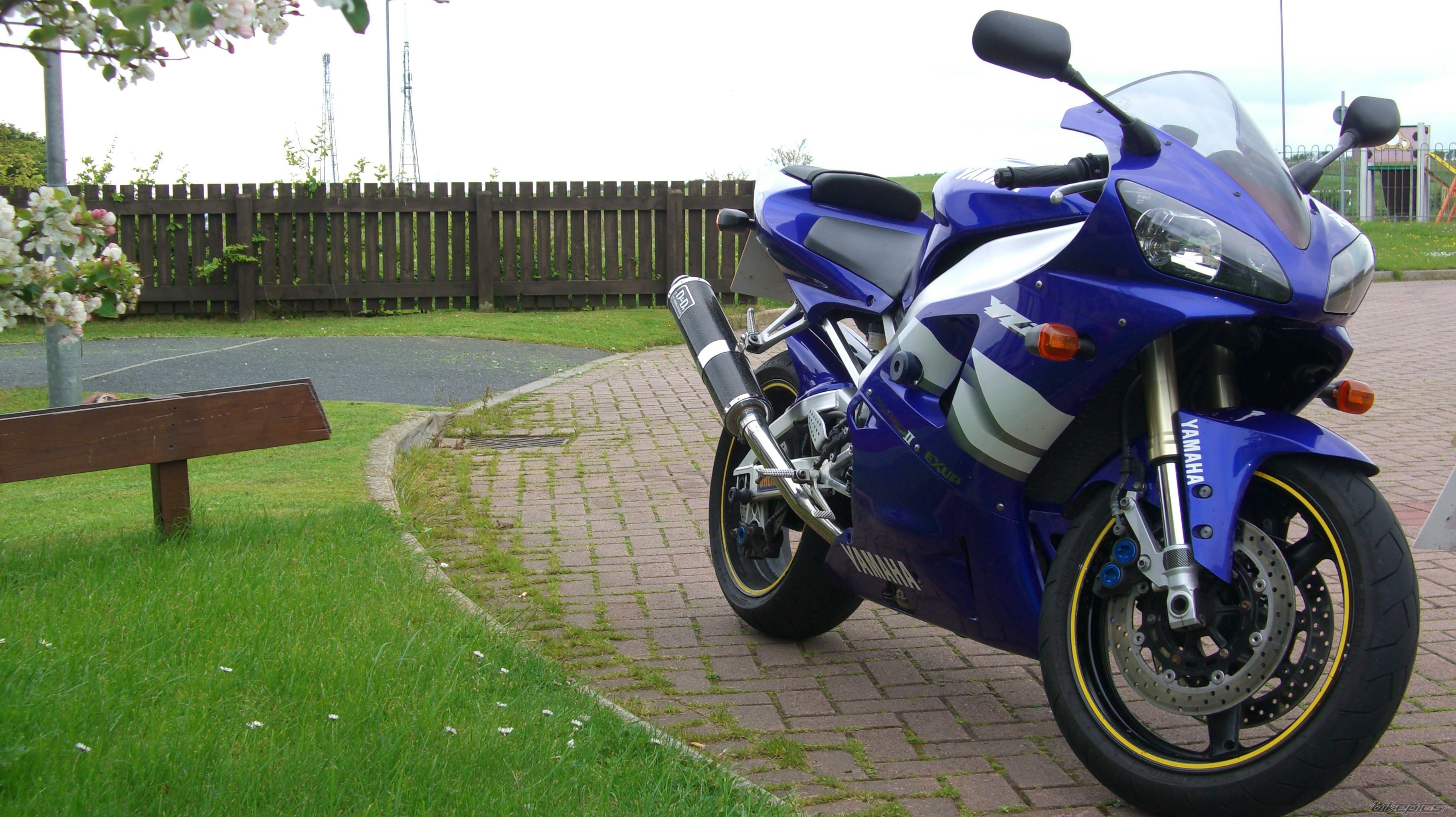 2000 YAMAHA YZF R1 | Picture 1678789 motorcycle photo