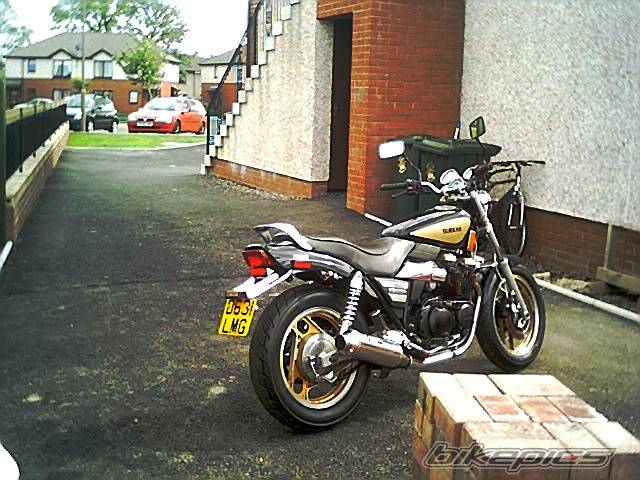 1986 YAMAHA YX 600 | Picture 167881 motorcycle photo