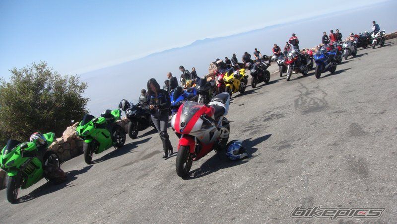 2002 HONDA CBR 954RR FIREBLADE | Picture 1678992 motorcycle photo