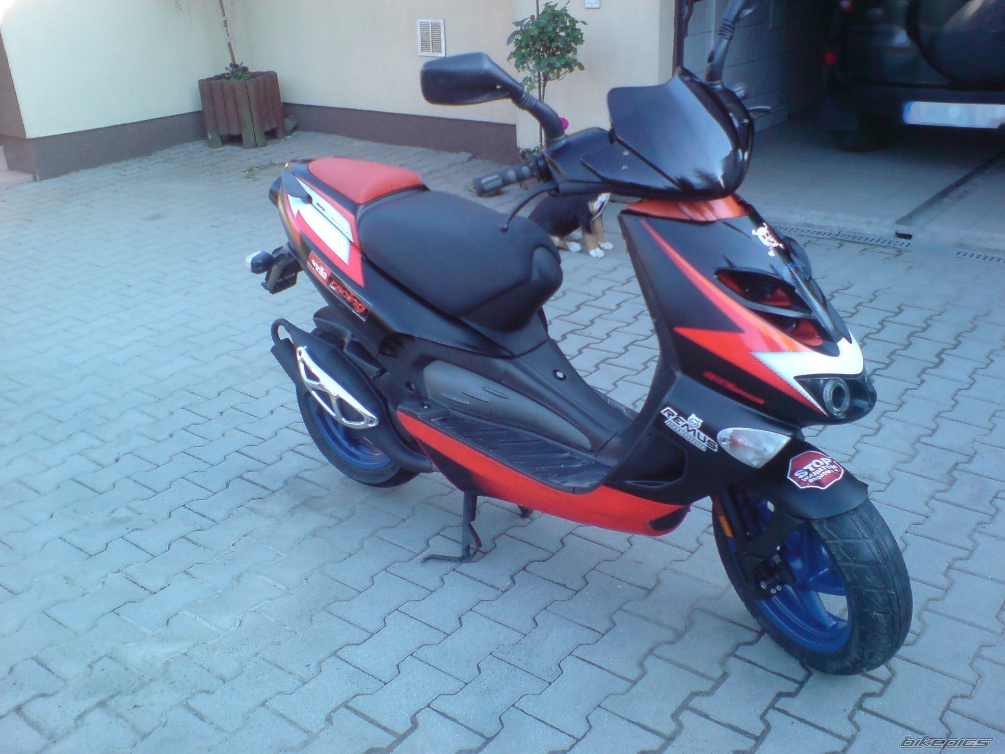 2005 APRILIA SR RACING 50 | Picture 1679396 motorcycle photo