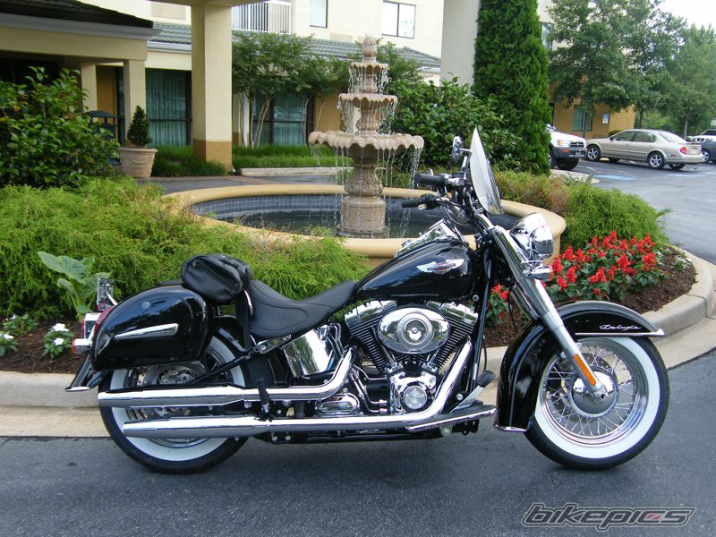 2009 HARLEY DAVIDSON FLSTNI SOFTAIL DELUXE | Picture 1679620 motorcycle photo