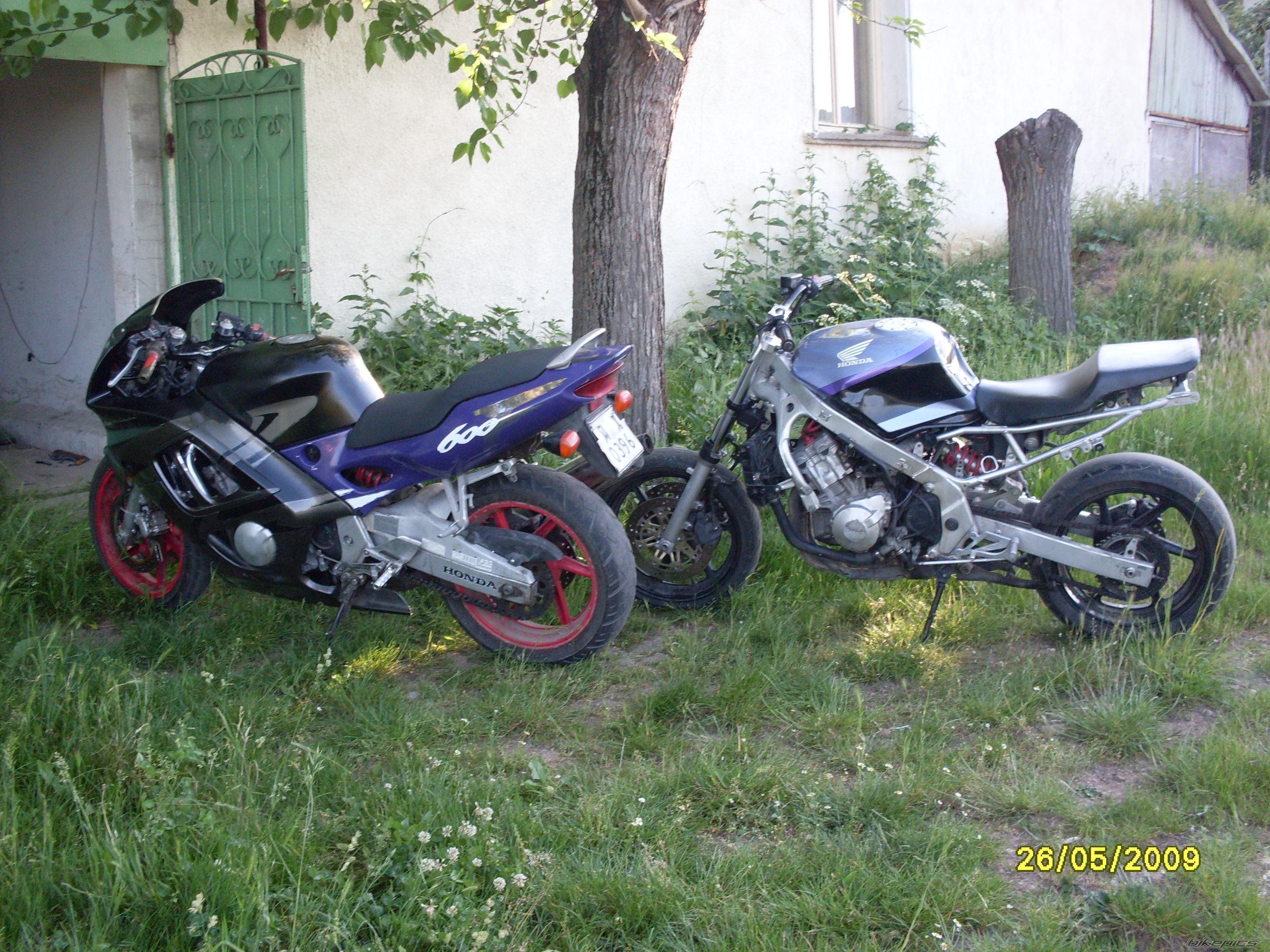 1997 HONDA CBR 600 | Picture 1679944 motorcycle photo