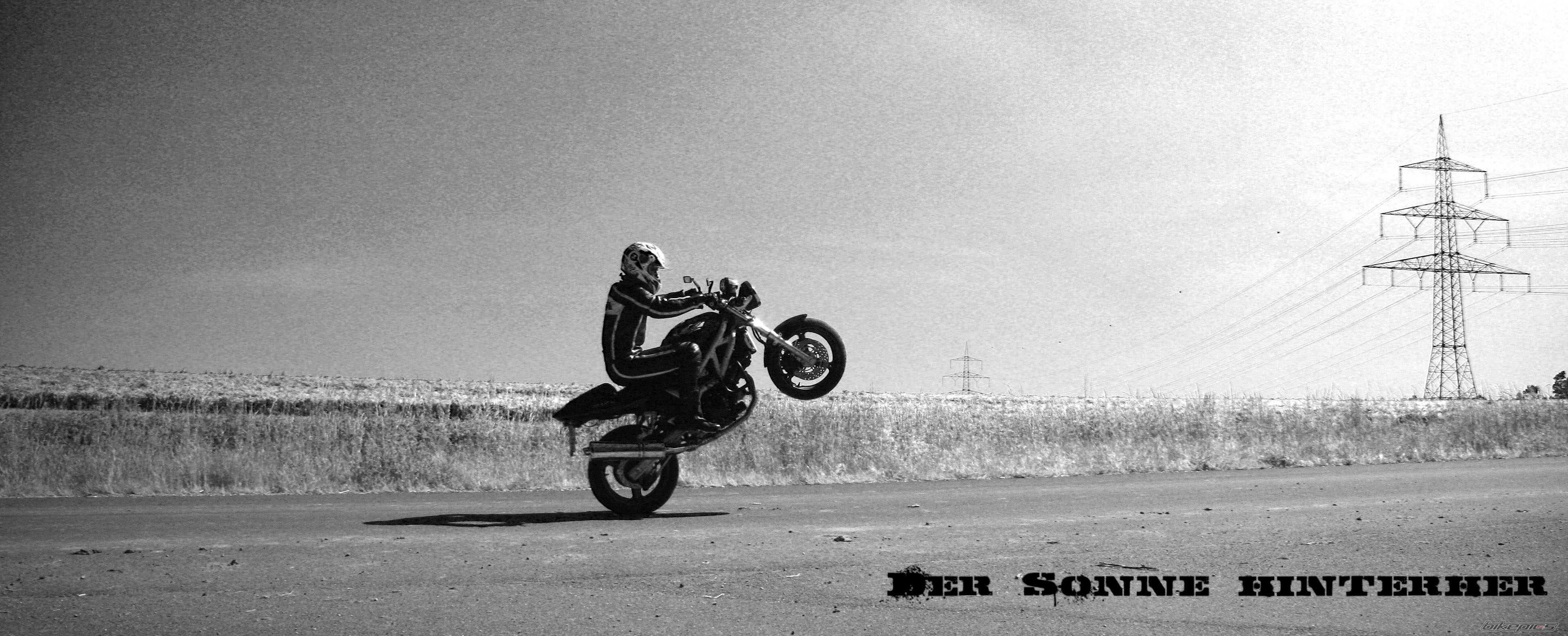 2000 SUZUKI SV 650 | Picture 1680288 motorcycle photo