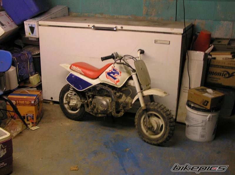 1994 HONDA Z 50 | Picture 1681145 motorcycle photo