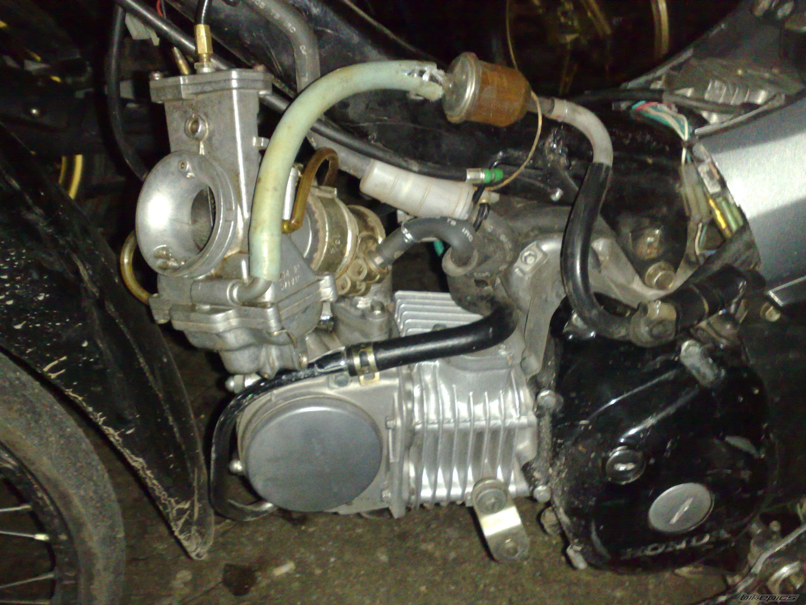 2009 HONDA GLX 50 | Picture 1681202 motorcycle photo