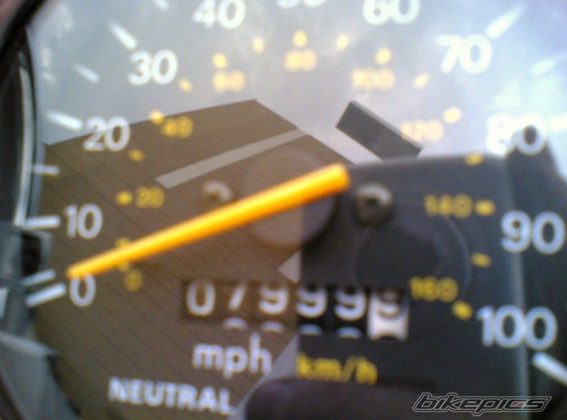 1997 SUZUKI SAVAGE | Picture 1681546 motorcycle photo