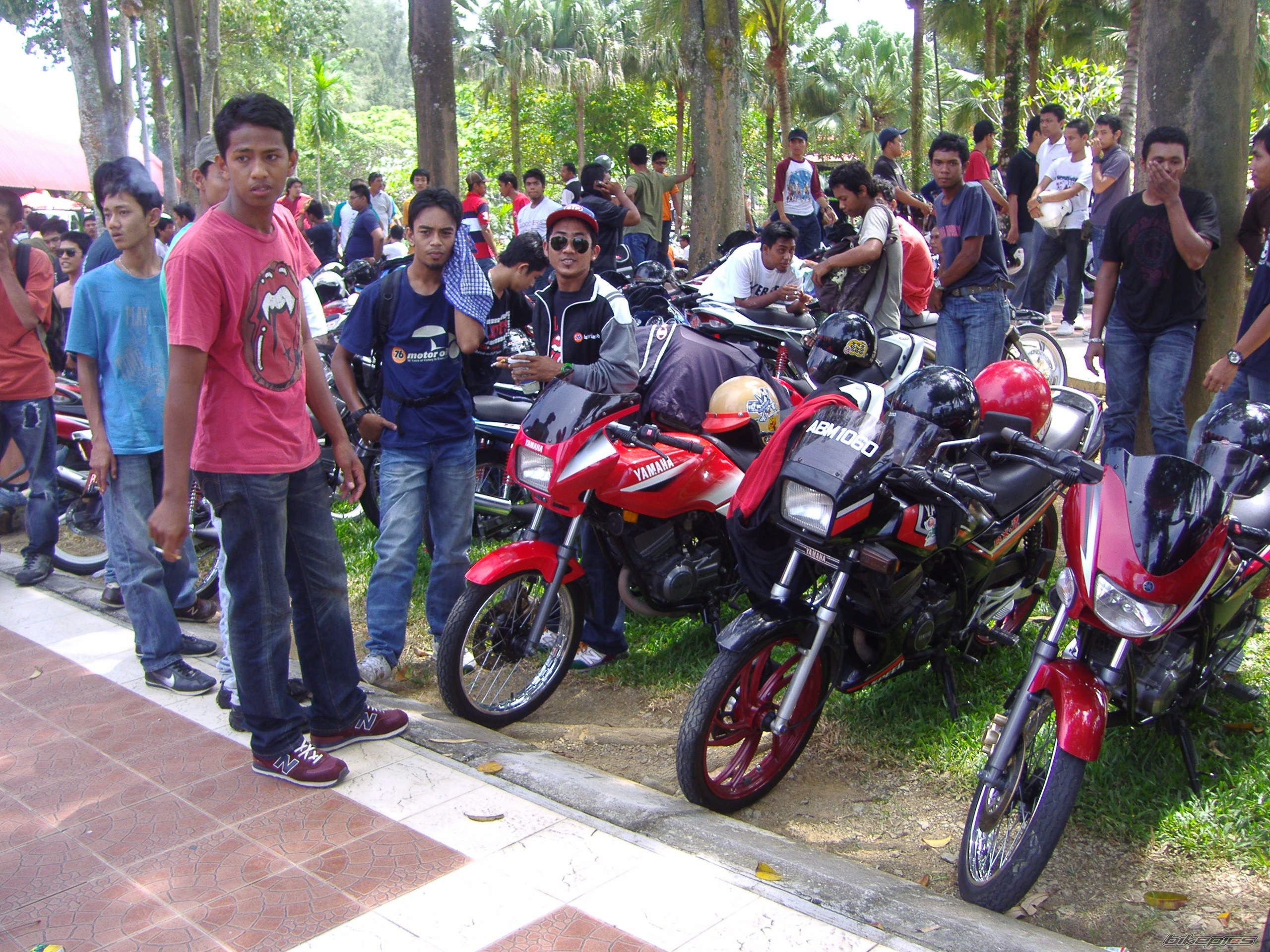 2010 YAMAHA RXZ 135 | Picture 1682004 motorcycle photo