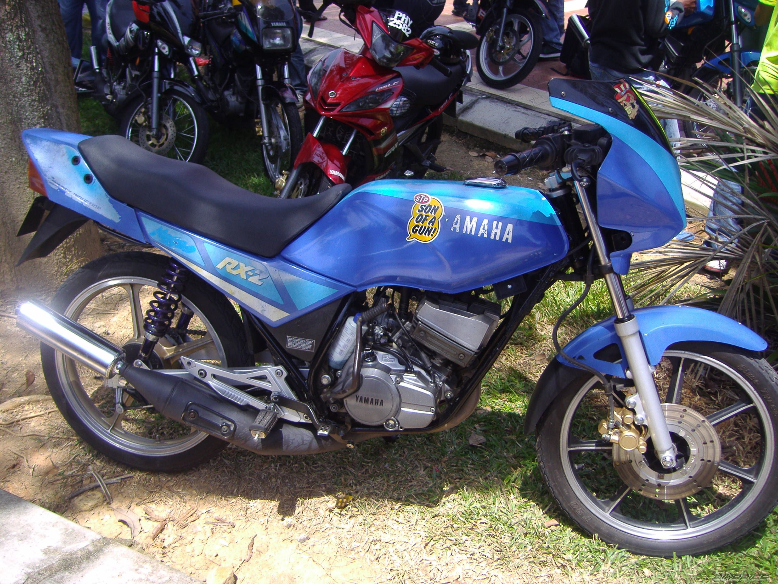 2010 YAMAHA RXZ 135 | Picture 1682011 motorcycle photo