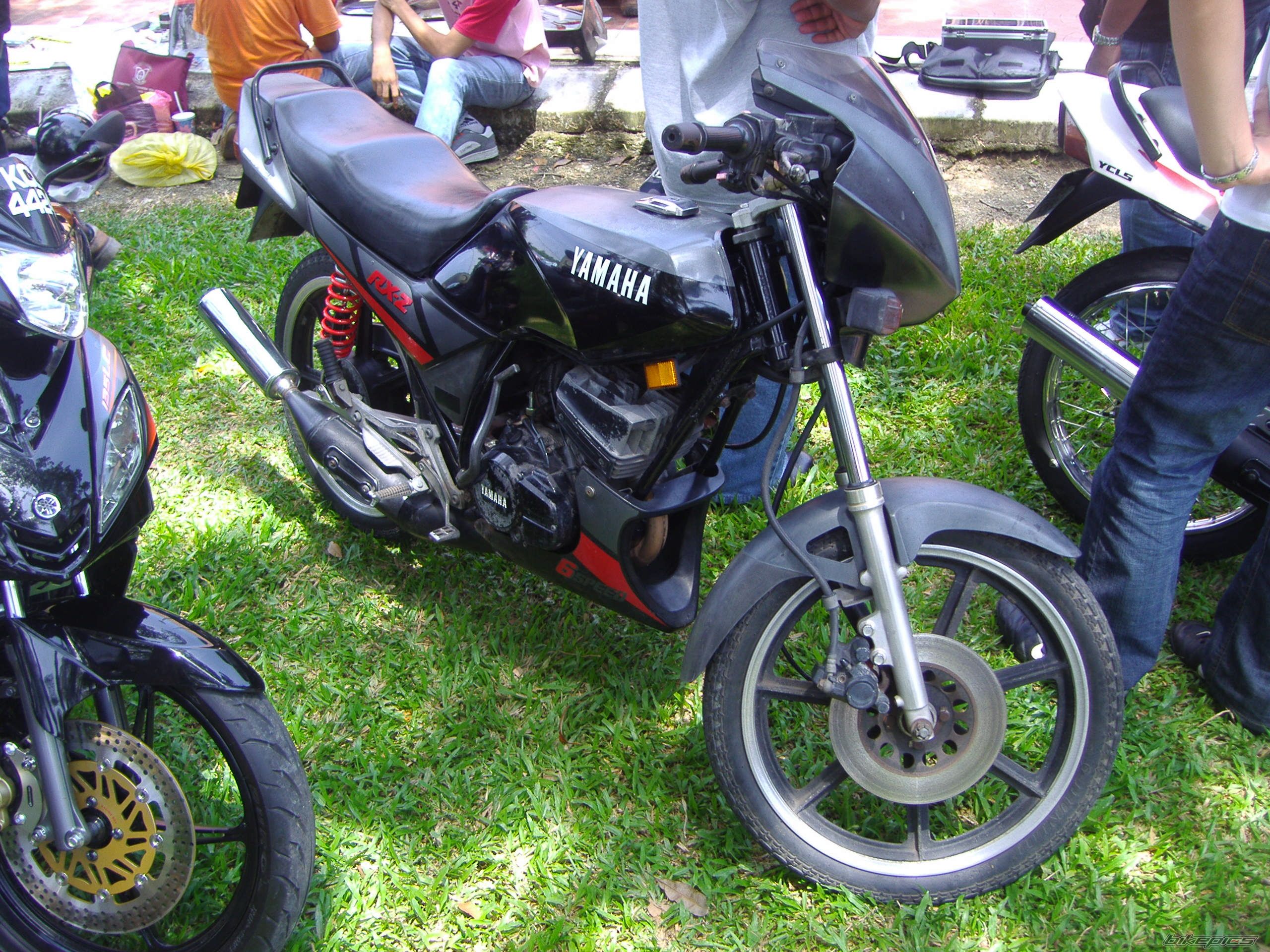 2010 YAMAHA RXZ 135 | Picture 1682012 motorcycle photo
