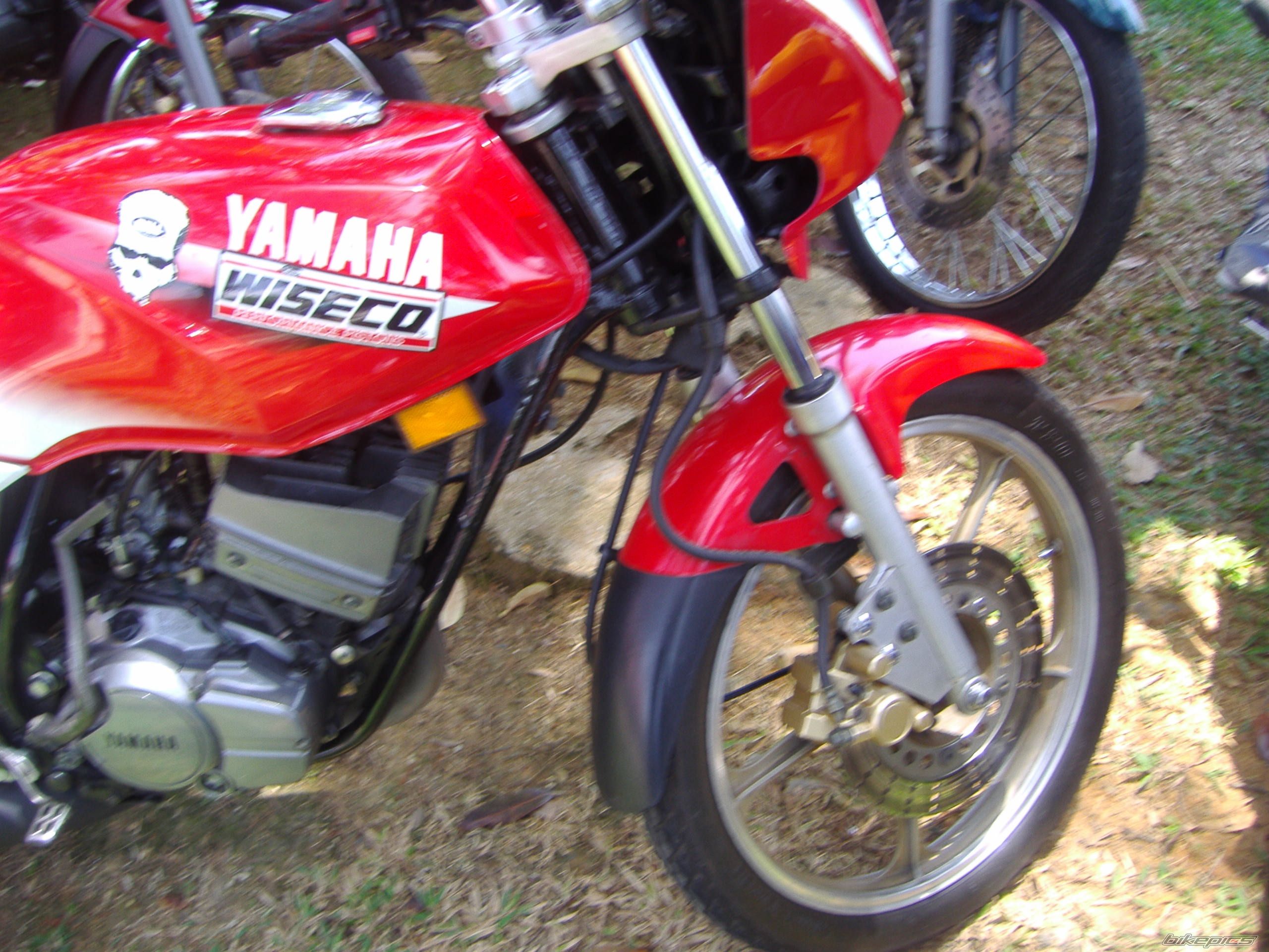2010 YAMAHA RXZ 135 | Picture 1682017 motorcycle photo
